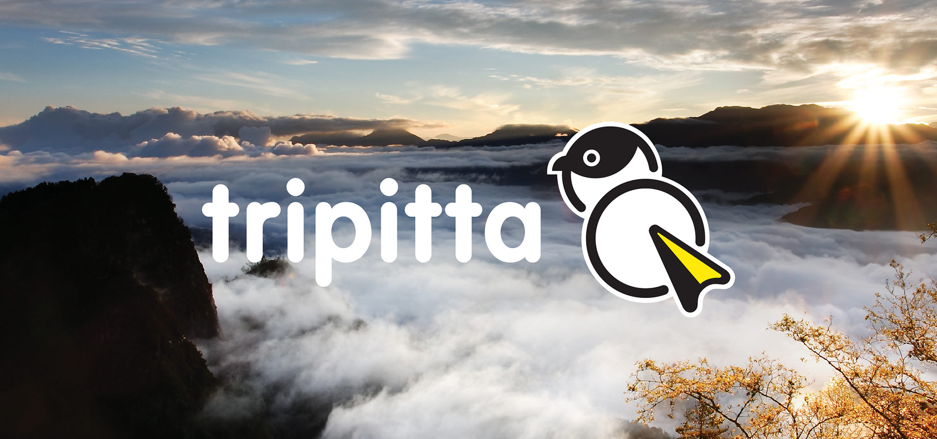 Tripitta 案例小圖 | 富爾特科技Tripitta旅必達品牌建構專案 | Labsology 法博思品牌顧問公司