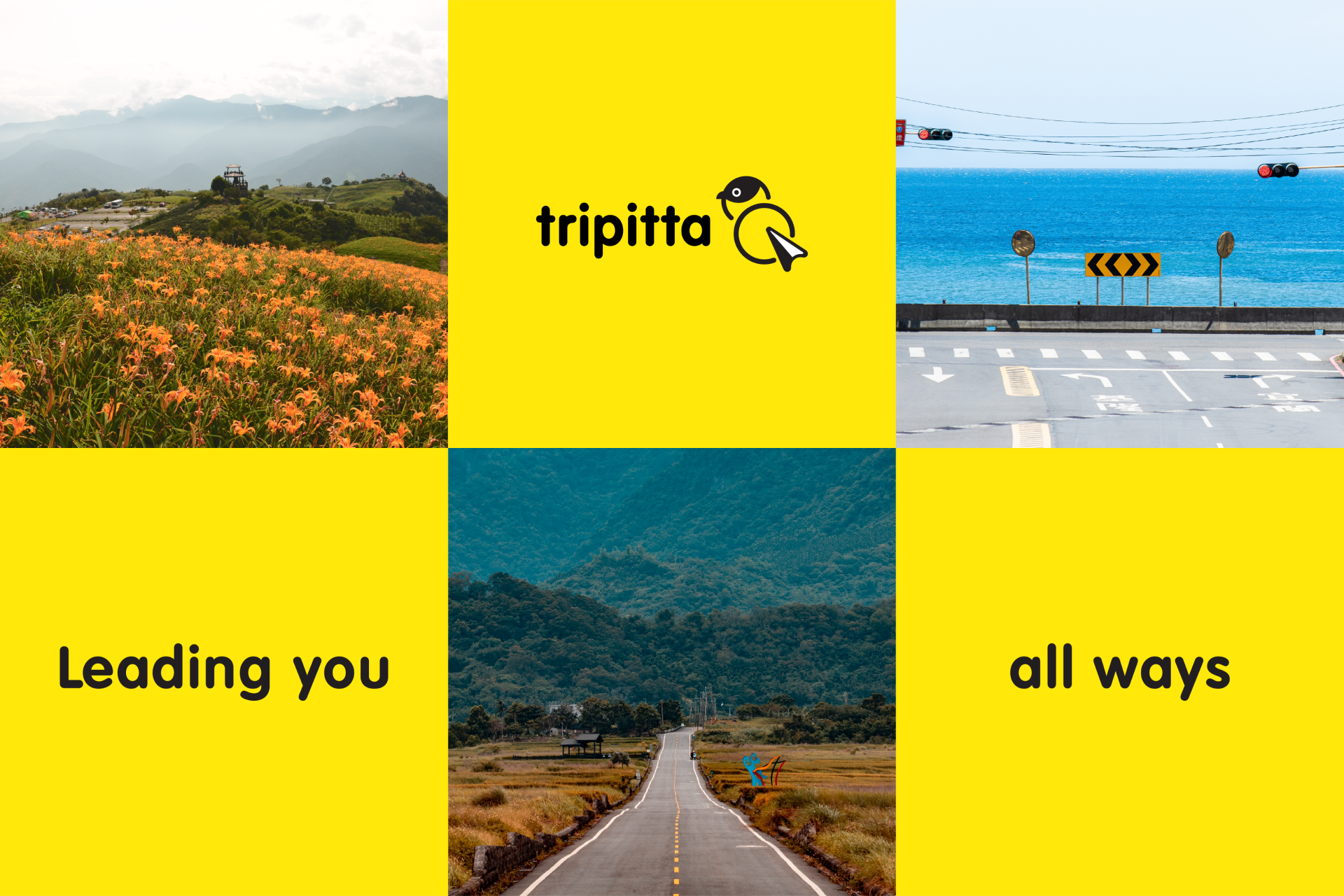 網站 | 富爾特科技Tripitta旅必達品牌建構專案